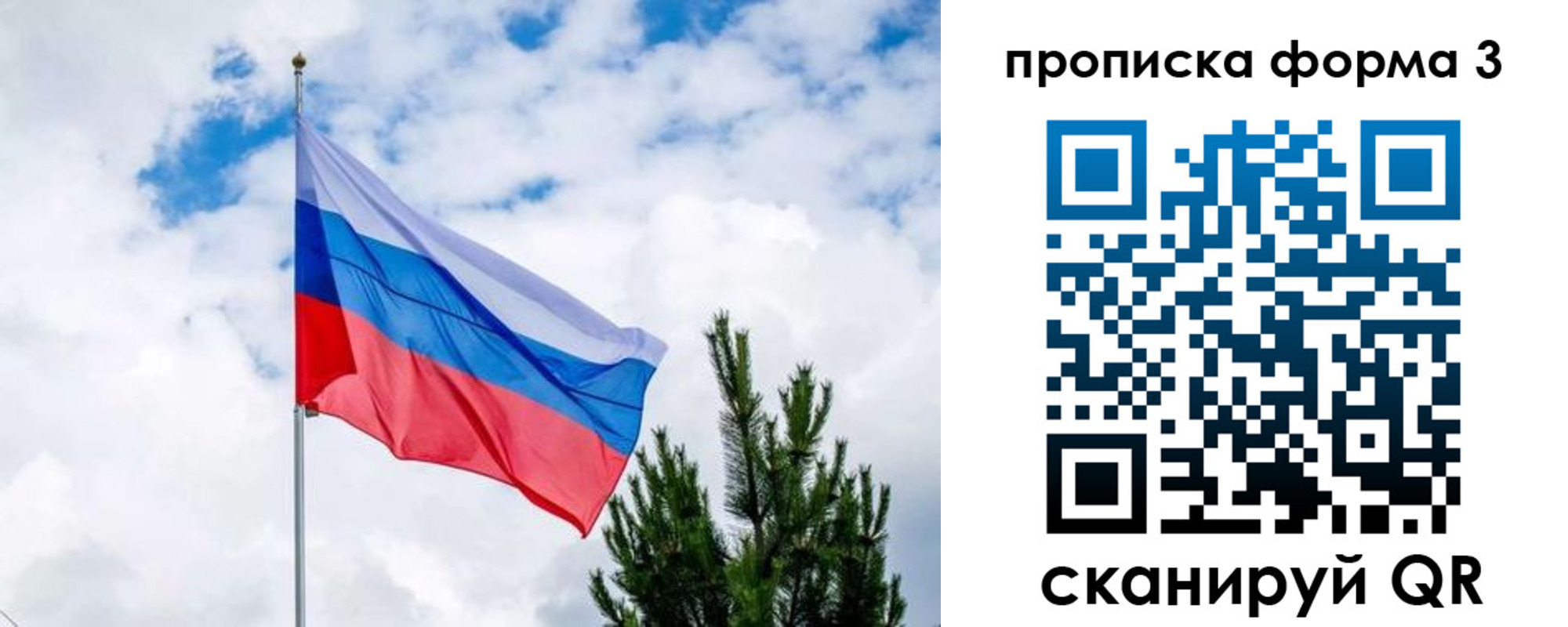 прописка для школы в Ногинске